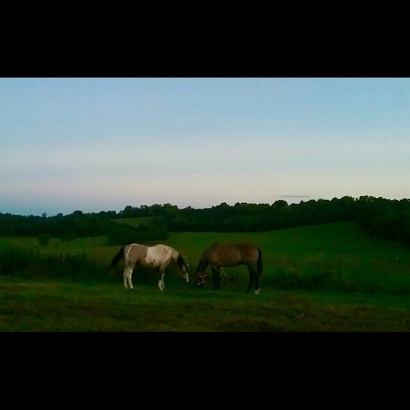 Meet your Posher, Kelly - Picture 4 of 8